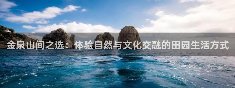 年会金句心得