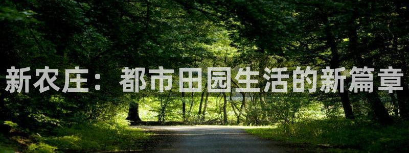 金年会