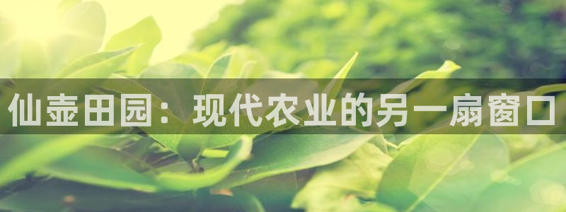 金年会入口