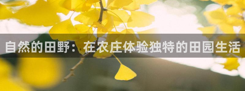 金年会官网登入