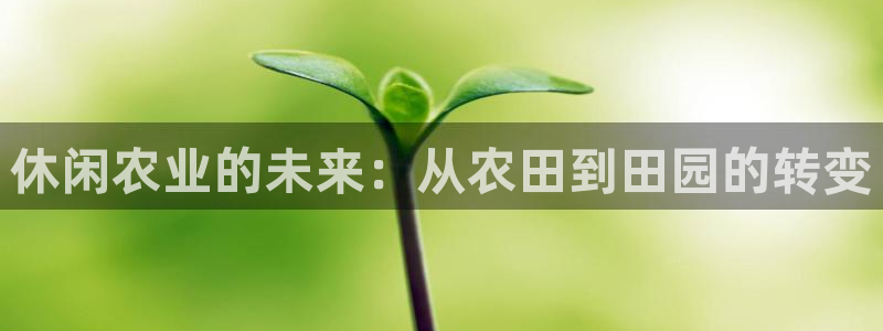 金年会最新登录网站