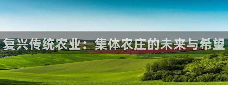 金年会是真的吗