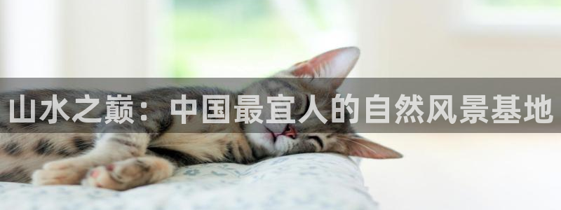 金年会官网