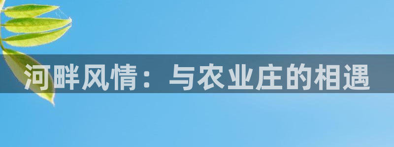 金年会菲律宾