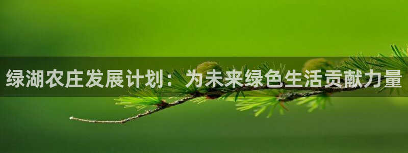 金年会平台是什么