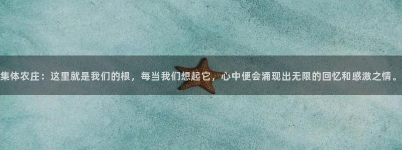 体育金年会