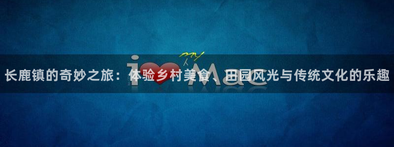 金升年会