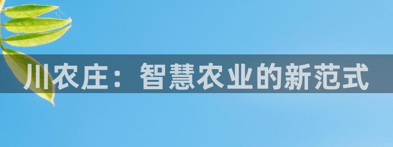 金年会平台是不是大台子