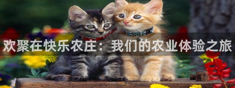 金年会平台游戏