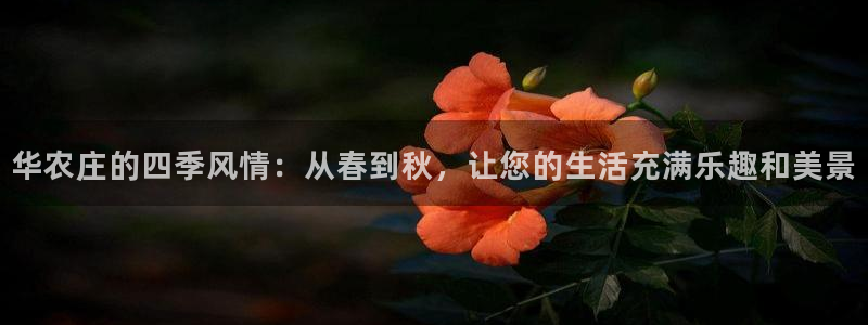 金年会最新官网