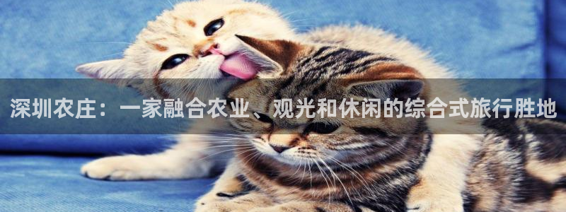 金年会软件在线下载