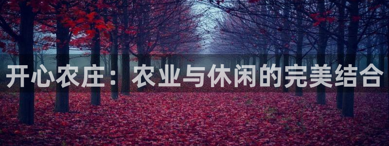 金实年会