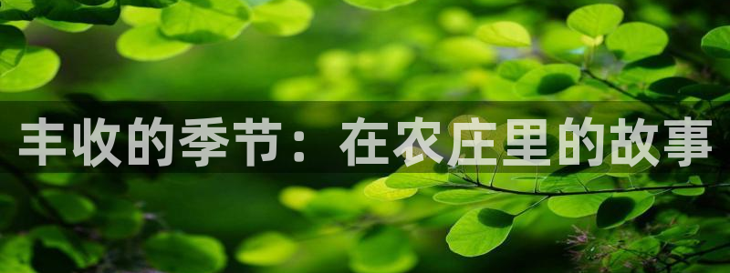 金年会体育官方