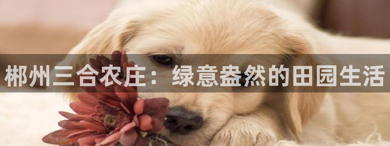 金年会网页登录