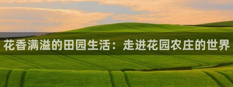 金年会网站