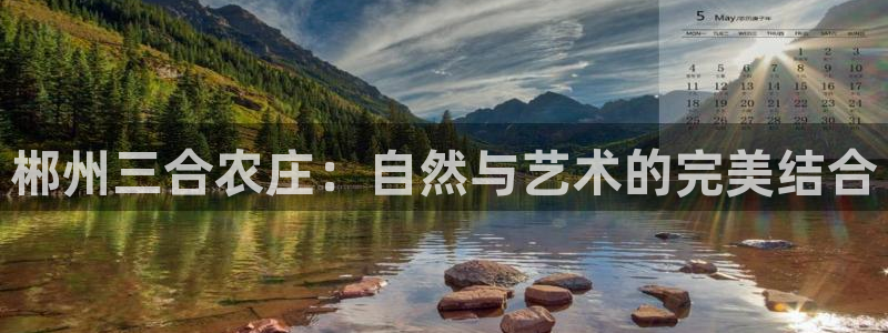 今年会金年会