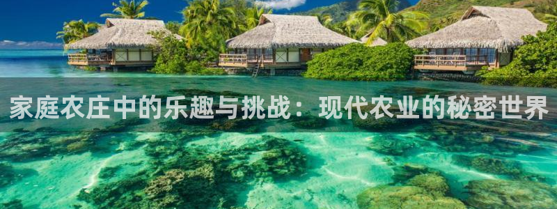 2022年金科年会