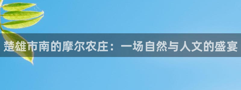 金年会体育娱乐