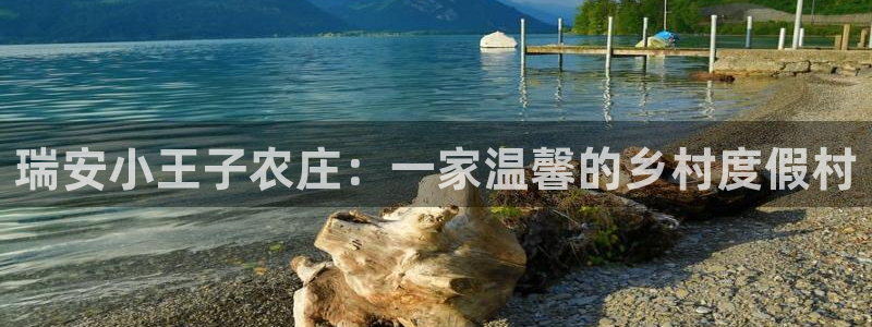 金顶年会