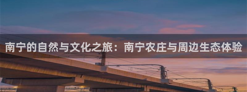 金哥年会