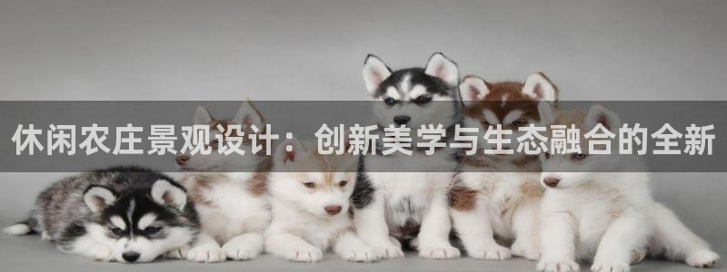 金年会提款慢