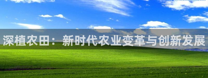金年会手机官网