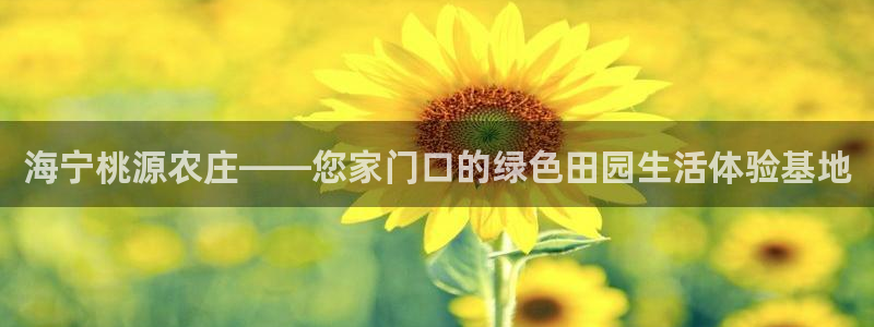 金年会这个平台