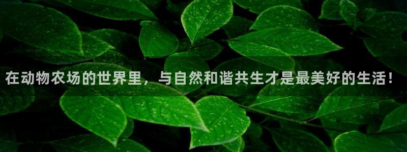 金年会jinnian