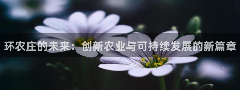金年会网页版登陆