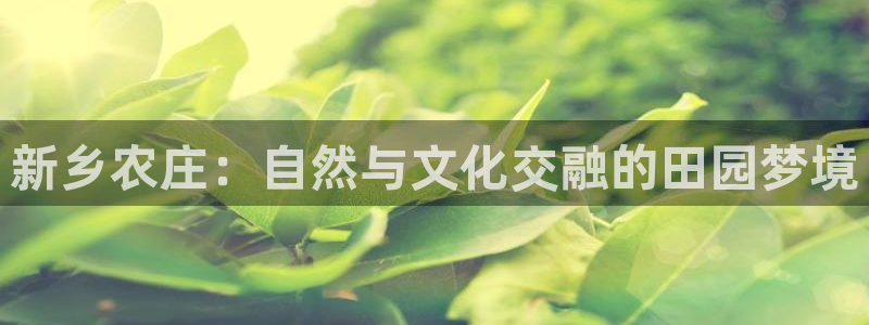 金 金年会