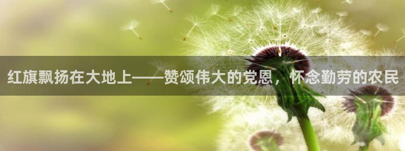 金年会拼音
