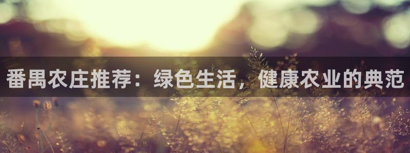 金年会体育官方网站入口