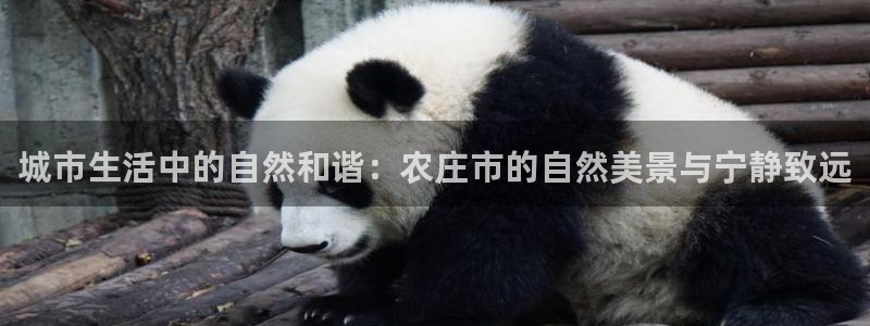 金年会平台
