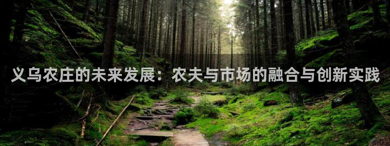 金年会体育金年会官网