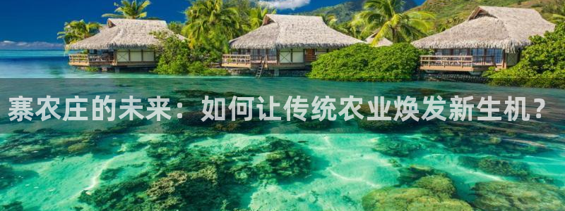 金年会赞助曼联