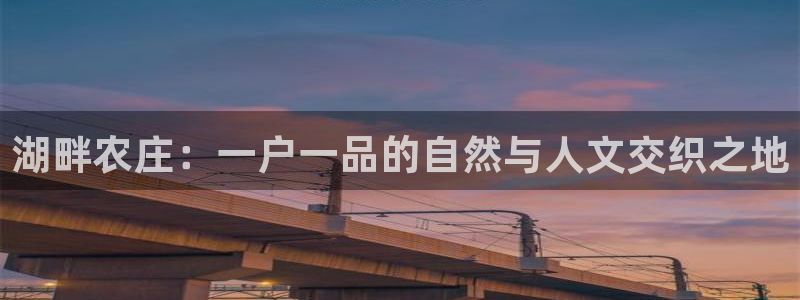金年会 中国 金年会