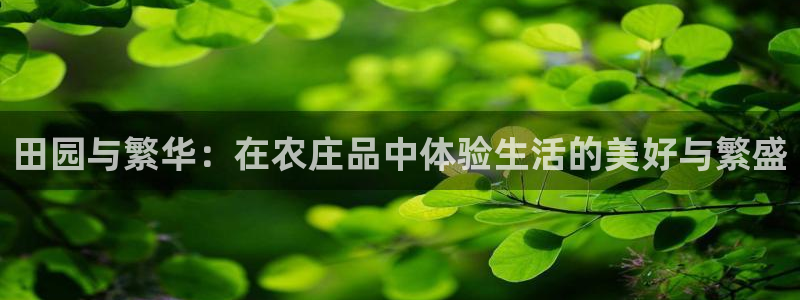2022金年会