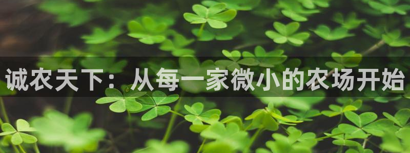 金年会澳门6766