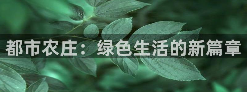 金年会平台登陆