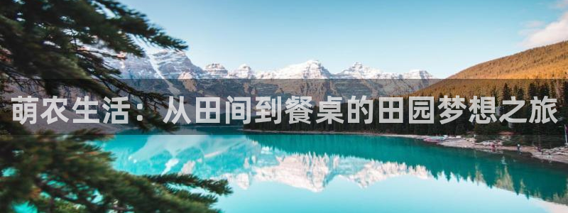 金年会app桌面