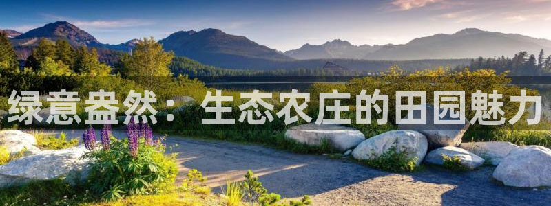 金年会赌博