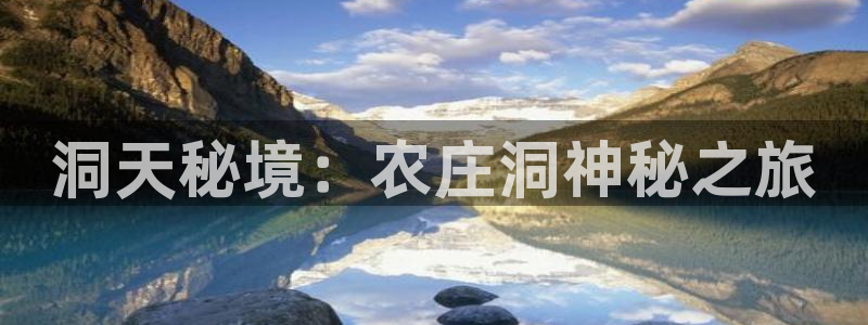 金年会app在线