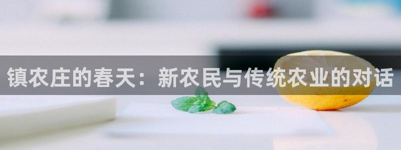 金实年会