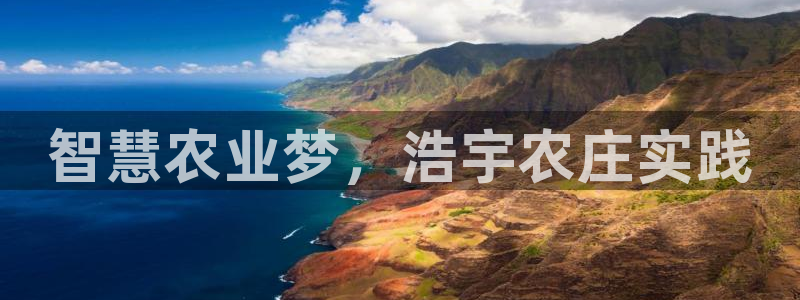 金年会体育app下载