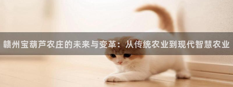 金年会是正规平台吗