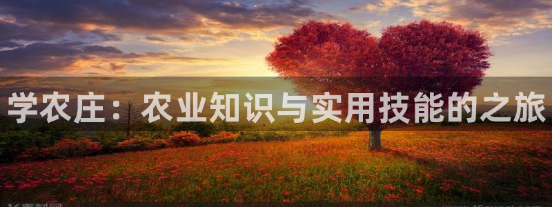 金年会娱乐下载