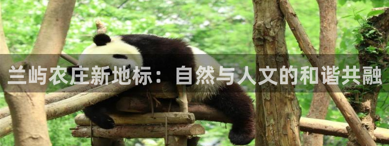 金年会最新登录