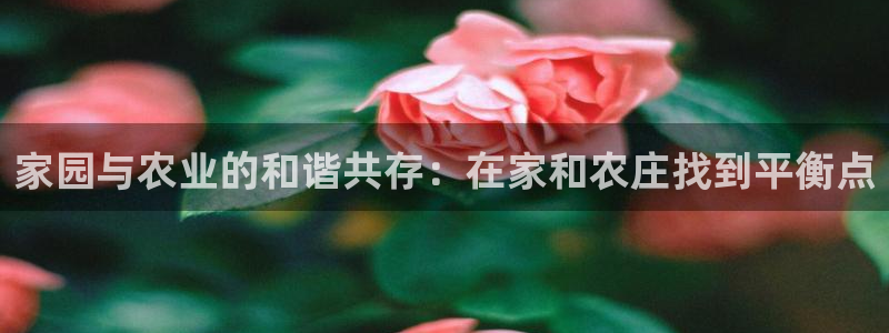 金年会游戏官网