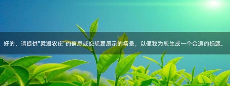 年会金