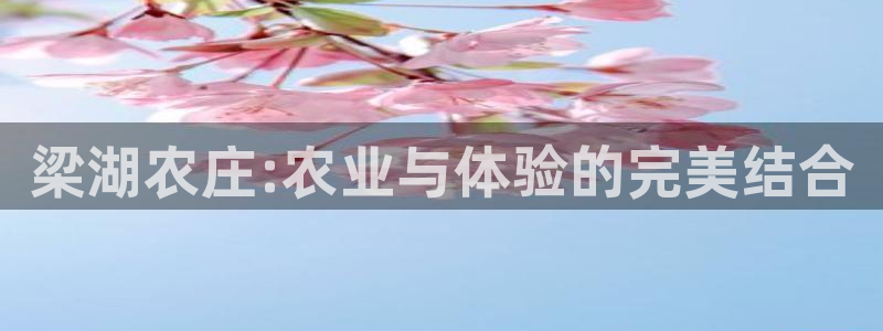 金年会彩金
